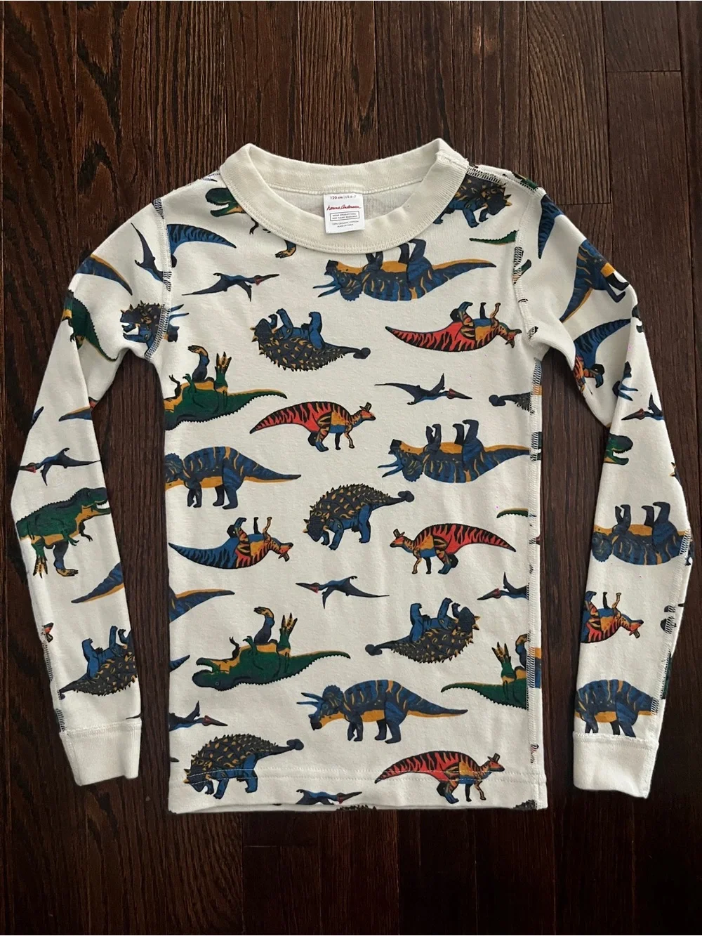 Hanna Andersson Cream Long-Sleeve Dinosaur Print Tee
